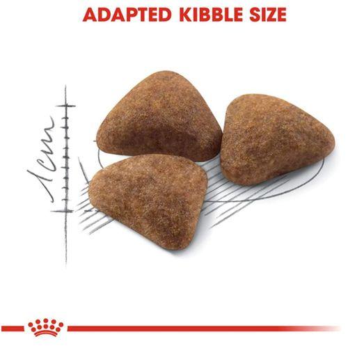 Royal Canin İndoor Evde Yaşayan Yetişkin Kedi Maması 2 Kg