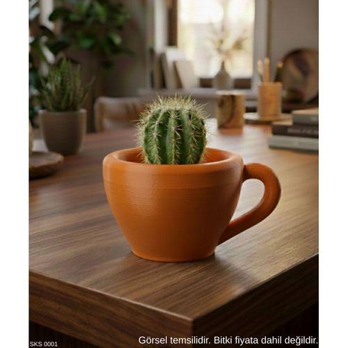 Turuncu Mini Dekoratif Fincan Şeklinde Saksı – 6 Cm Masaüstü & Ofis Dekoru