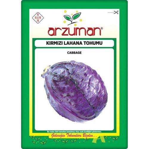 Kırmızı Lahana Tohumu 10 Gr