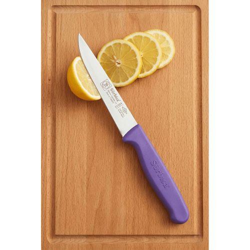 Sebze Meyve Bıçağı Mor Renk Keskin Pratik Mutfak Bıçağı Sürmene Bıçak Sürbisa 61004