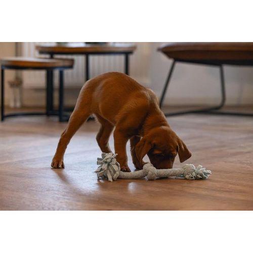 Beeztees Yavru Köpek Oyuncağı, Çift Düğümlü Diş İpi, Peluş, Mavi, 30x6x4,5cm