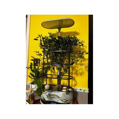 Aerogarden Bounty Işık Uzatma 3D Baskı (Bu ürün Sadece Plastik parçadır - Almadan Önce Soru Sorabilirsiniz)