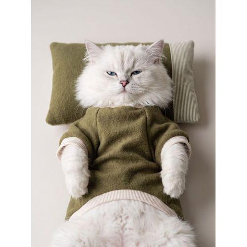 Natura Cozy Pati & Yastık | Nefti Yeşil Polar Kedi Sweatshirt ve Mini Yastık | 2 Parça