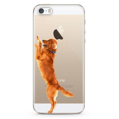 Apple iPhone 5s Kılıf Golden Retriever Arka Kapak Koruma Desenli Full Koruyucu