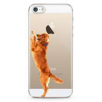 Apple iPhone 5s Kılıf Golden Retriever Arka Kapak Koruma Desenli Full Koruyucu