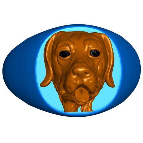 Yeniden boyutlandırma Talimatları ile Labrador Retriever Signet Yüzük - 5129361