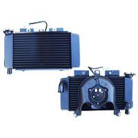 CF MOTO Cf Moto Sr250 Radyatör Ve Fan Komple (E4-E5)