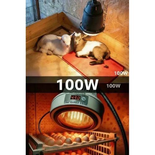 100w Kızılötesi (infrared) Isıtıcılı Hayvan Isıtma Ve Kuluçka Lambası (kırmızı Işık) E27 (kalın Duy)