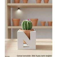 Beyaz Harf Seklinde Mini Dekoratif Saksi Kisiye Ozel Bas Harf Tasarim 7 Cm Masa Ustu Ofis Dekoru