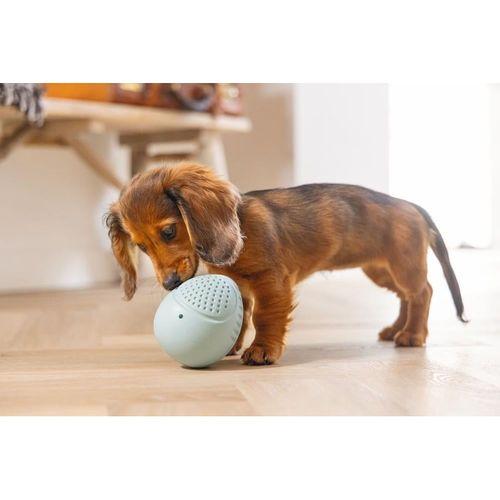 Beeztees Yavru Köpek Oyuncağı, Ödül ve Oyun, Yumurta, Kauçuk, Turkuaz, 6x6x8cm