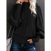 Kadın Uzun Kollu Balıkçı Yaka Triko Kazak