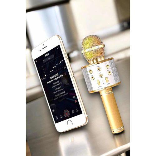 Ve Uzun Pil Ömürlü Karaoke Mikrofon Usb Bellek Destekli, Profesyonel Ses