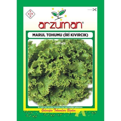 İri Kıvırcık - Marul Tohumu (10 gr)