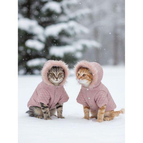 Pinky Pie Pembe Kedi Montu Kışlık Ceket