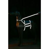 Reflektörlü - Ayarlanabilir Köpek Harness - Köpek Gezdirme Aparatı - Npd007