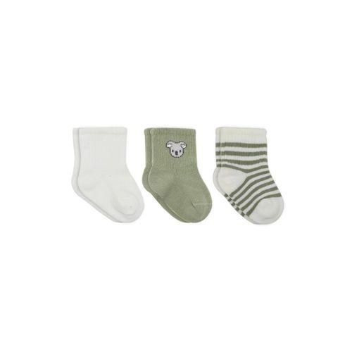 Koala Boy 3'lü Penye Soket Çorap 10133 Ekru