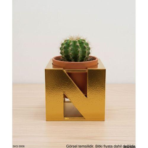 Gold Centikli Harf Seklinde Mini Dekoratif Saksi Ismine Ozel Bas Harf Tasarim Masa Ustu Ofis Dekoru 7 Cm