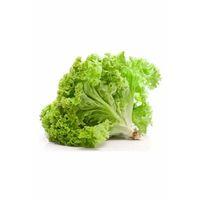 Yazlık Kıvırcık Marul Tohumu 10 Gr