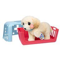 LLP Yavru Köpek İyileşir