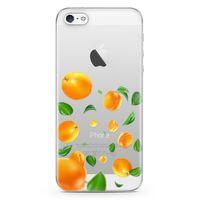 Apple iPhone 5 Kılıf Kayısılar Arka Kapak Koruma Desenli Full Koruyucu