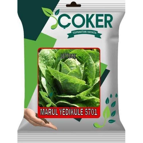 Çoker Marul Yedikule 5701 10 gr
