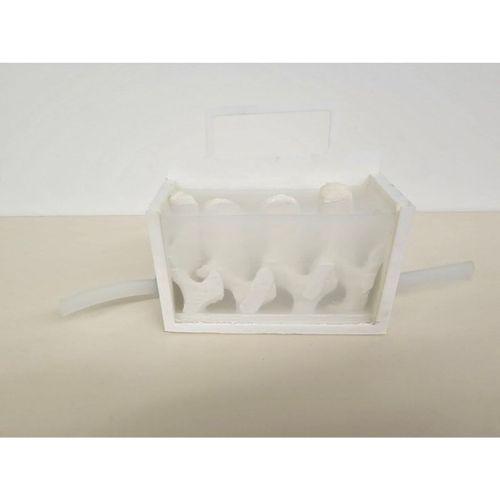 Bel Omuriliği Puncture Modeli (Bu ürün Sadece Plastik parçadır - Almadan Önce Soru Sorabilirsiniz)