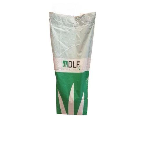 Üçgül Tohumu 1 Kg- Süs Yoncası ( Trifolium Repens )