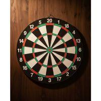 15 İnç Dart Tahtası Seti Dayanıklı Yapı 4 Metal Dart Oku