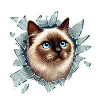 Fulcar Kedi Tasarımlı Araç Stickerı