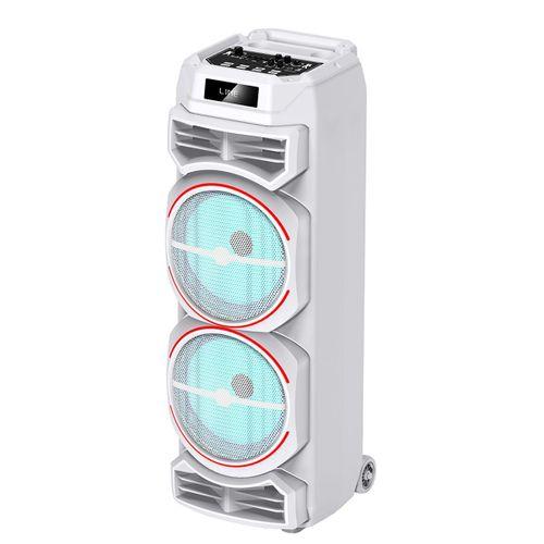 Zore GD-2828 Dijital LED Göstergeli Mikrofonlu RGB TWS Çift 8 inç Stereo Bass Kablosuz Karaoke Hoparlör