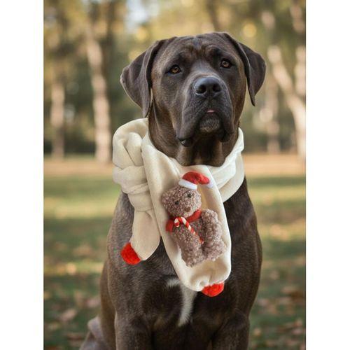 Teddy Santa Yılbaşı Köpek Atkısı | Polar Peluş Köpek Atkısı | Köpek Yılbaşı Aksesuarı | Orta ve Büyük Irklar İçin