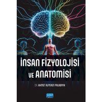 İnsan Fizyolojisi ve Anatomisi
