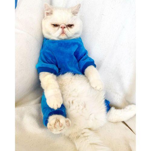 Blue Seas Kedi Tulum Pijama