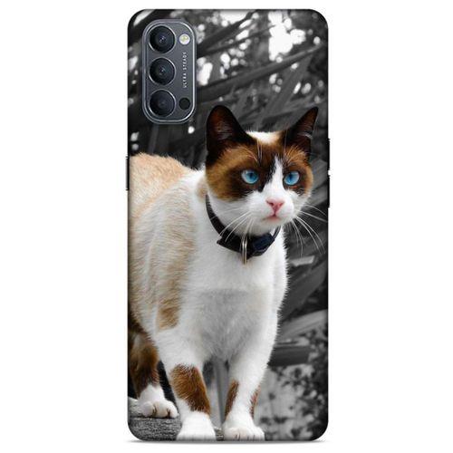 Lopard Oppo Reno 4 Uyumlu Kılıf Kediler (43) Thin Fit Kılıf Beyaz Kedi