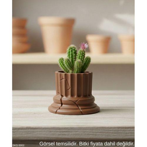 Kahverengi Klasik Sutun Form Mini Dekoratif Saksi 7 Cm Masa Ustu Ofis Dekoru