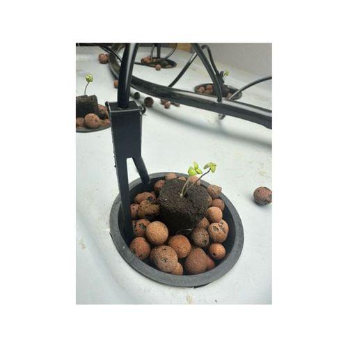 Drip Irrigation Vertical Plant Spike (Bu ürün Sadece Plastik parçadır - Almadan Önce Soru Sorabilirsiniz)