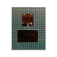 Polaroid Go Jel Filtre Tutucu (Bu ürün Sadece Plastik parçadır - Almadan Önce Soru Sorabilirsiniz)