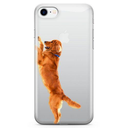 Apple iPhone 8 Kılıf Golden Retriever Arka Kapak Koruma Desenli Full Koruyucu