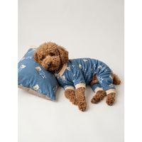 Teddy Blues Uyku Takımı | Ayıcık Desenli Pamuklu Penye Köpek Tulumu ve Mini Yastık | Küçük Irklar İçin | Tüy Dökülmesini Azaltır