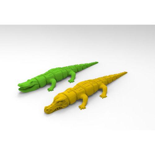 Mafsallı timsahlar - 5136675