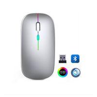 ZR215 Cba100 Rgb Gümüş Şarjlı Mouse