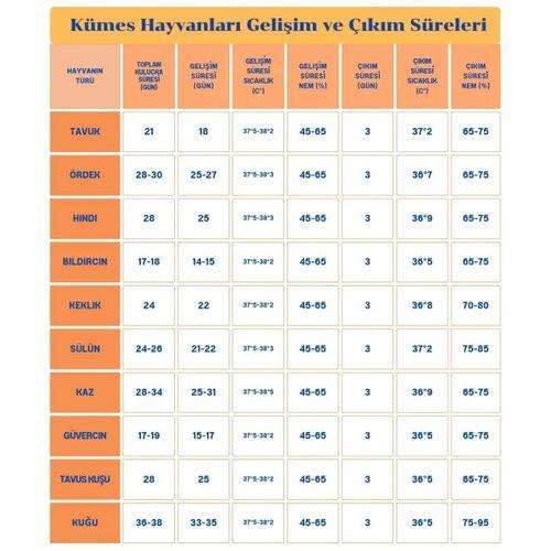 60 Yumurta Kapasiteli Tam Otomatik Kuluçka Makinesi - Civciv, Kaz, Hindi Ve Ördek Yetiştiriciliği Epo-w60