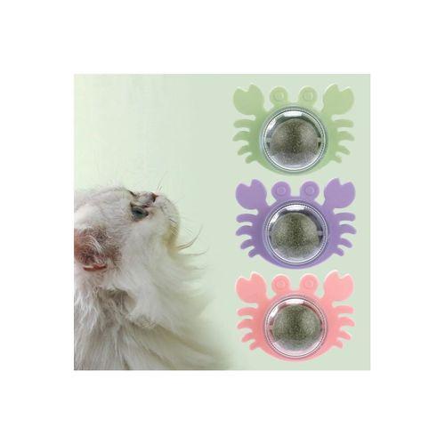 Yengeç Kedi Otu Oyun Topu