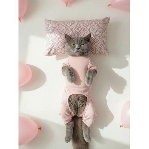 Minimini Kapler Kedi Uyku Seti | Penye Kedi Tulum ve Mini Yastık Takımı | Pamuklu | Tüy Dökülmesini Azaltır |