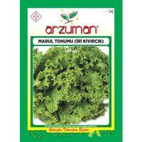 İri Kıvırcık - Marul Tohumu (10 gr)