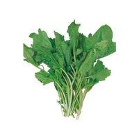 Tere Tohumu 10 Gr