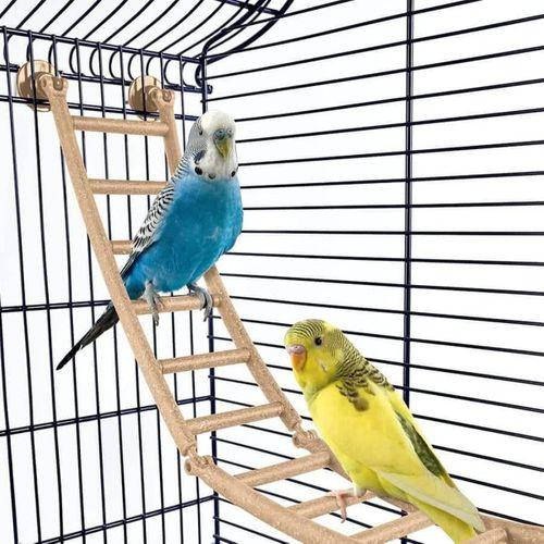 Imac Andorra Bombeli Kuş Kafesi Morcivert 61x38x76cm