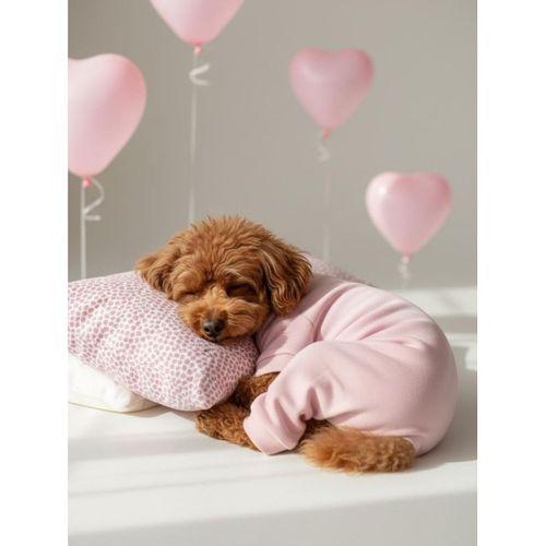 Minimini Kalpler Pembe Köpek Uyku Takımı | Pamuklu Penye Köpek Tulumu ve Mini Yastık | Küçük Irklar İçin | Tüy Dökülmesini Azaltır