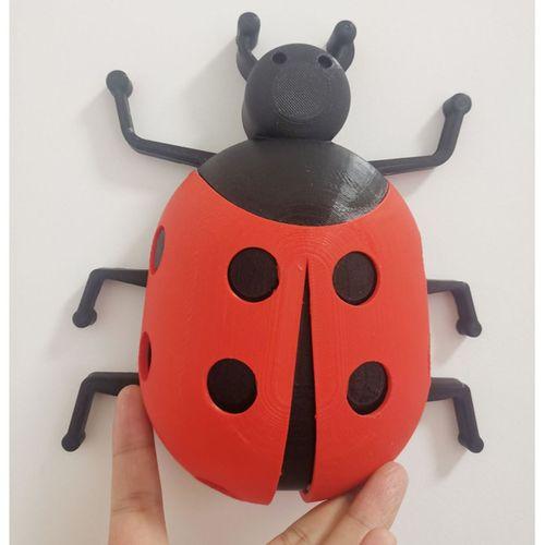 Büyük Ladybug - 5146145