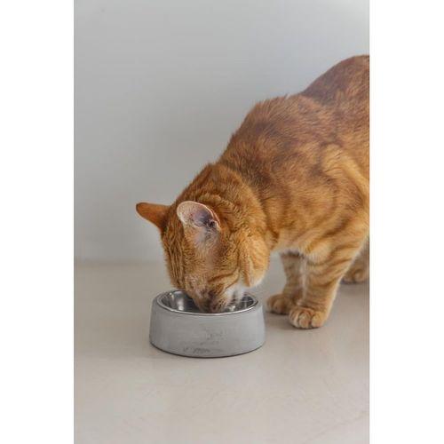 Beeztees DBL Kedi Mama Su Kabı, Paslanmaz Çelik, 12,5cm, 160ml